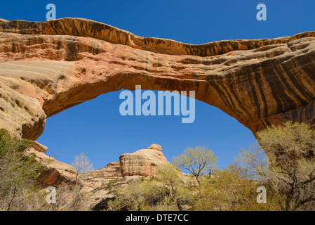 Sipapu Bridge, ponti naturali monumento nazionale, Utah, Stati Uniti d'America Foto Stock