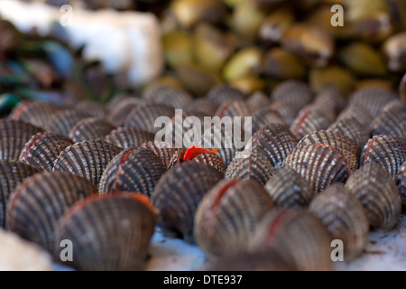 Piatti a base di frutti di mare freschi nel mercato asiatico, cozze. Foto Stock