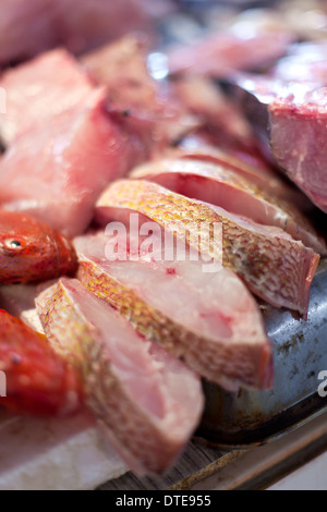 Di Lapu Lapu, dentice e tonno, pesce sul mercato asiatico Foto Stock