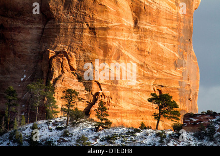 Formazione di roccia nel canyon Kolab, Utha Foto Stock