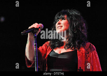 Texas, Stati Uniti d'America. 14 feb 2014. Il cantante Ann Wilson di cuore esegue in concerto come parte del San Antonio Stock Show & Rodeo presso l'AT&T Center il 14 febbraio 2014 in San Antonio, Texas - USA © Manuel Nauta/NurPhoto/ZUMAPRESS.com/Alamy Live News Foto Stock