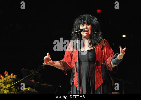 Texas, Stati Uniti d'America. 14 feb 2014. Il cantante Ann Wilson di cuore esegue in concerto come parte del San Antonio Stock Show & Rodeo presso l'AT&T Center il 14 febbraio 2014 in San Antonio, Texas - USA © Manuel Nauta/NurPhoto/ZUMAPRESS.com/Alamy Live News Foto Stock