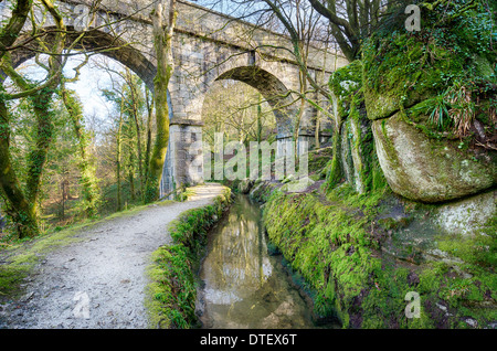 La storica Treffry viadotto e Acquedotto di fronte alla valle Luxulyan in Cornovaglia Foto Stock