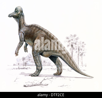 Corythosaurus casuarius Foto Stock