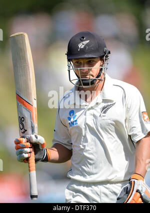 Wellington, Nuova Zelanda. 17 feb 2014. BJ Watling il giorno 4 della seconda prova del cricket corrispondono a Hawkins Basin Reserve. Wellington. ANZ serie di prova, Nuova Zelanda i cappucci neri v India. Credito: Azione Sport Plus/Alamy Live News Foto Stock