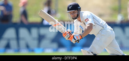 Wellington, Nuova Zelanda. 17 feb 2014. BJ Watling il giorno 4 della seconda prova del cricket corrispondono a Hawkins Basin Reserve. Wellington. ANZ serie di prova, Nuova Zelanda i cappucci neri v India. Credito: Azione Sport Plus/Alamy Live News Foto Stock