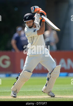 Wellington, Nuova Zelanda. 17 feb 2014. BJ Watling il giorno 4 della seconda prova del cricket corrispondono a Hawkins Basin Reserve. Wellington. ANZ serie di prova, Nuova Zelanda i cappucci neri v India. Credito: Azione Sport Plus/Alamy Live News Foto Stock