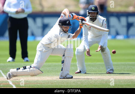 Wellington, Nuova Zelanda. 17 feb 2014. BJ Watling il giorno 4 della seconda prova del cricket corrispondono a Hawkins Basin Reserve. Wellington. ANZ serie di prova, Nuova Zelanda i cappucci neri v India. Credito: Azione Sport Plus/Alamy Live News Foto Stock