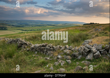 Moorland sui fianchi sud di Hotbank Balze di Vallo di Adriano paese, Northumberland, Inghilterra Foto Stock