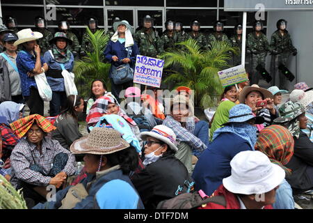 Bangkok, Tailandia. 17 feb 2014. Riso tailandese gli agricoltori a raccogliere il composto dell'Ufficio di Difesa segretario permanente durante un rally in Bangkok, capitale della Thailandia, Feb 17, 2014. Centinaia di agricoltori tailandesi di lunedì si è rotto nel composto dell'Ufficio di Difesa Segretario Permanente per chiedere una riunione con custode Primo Ministro Yingluck Shinawatra, che lavora lì temporaneamente. Credito: Gao Jianjun/Xinhua/Alamy Live News Foto Stock