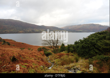 Vista da The Fells a Silverpoint guardando attraverso Ullswater nel Lake District National Park, Cumbria, Inghilterra, Regno Unito Foto Stock