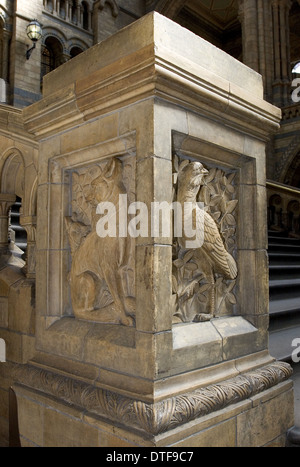 Rilievo di terracotta scultura presso il Museo di Storia Naturale di Londra Foto Stock