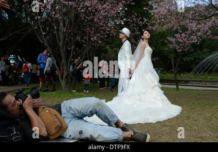 Taipei Cinese di Taiwan. 17 feb 2014. Un giovane pone per foto di nozze al Yangminghshan Park di Taipei, a sud-est della Cina di Taiwan, Feb 17, 2014. Il bel tempo qui il lunedì ha attratto molti cittadini locali di venire all'esterno. Credito: Huang Xiaoyong/Xinhua/Alamy Live News Foto Stock