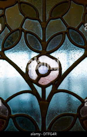 Darwin Galleria tettoia all'estremità nord della Hall centrale Foto Stock