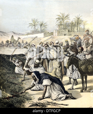 Sciamatura cavallette o Locust peste Algeria 1891 Foto Stock