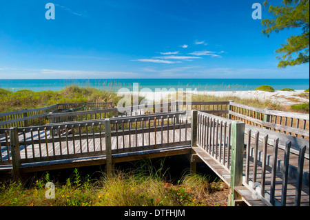 USA Florida Sarasota FL Longboat Key una spiaggia a piedi attraverso le dune protette al Sands Foto Stock