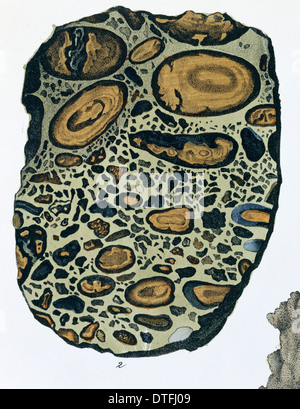 La piastra 4, fig 2 Puddingstone - da Mineralienbuch Foto Stock
