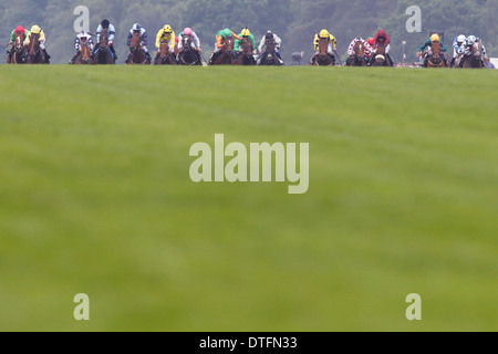 Ascot, Regno Unito, cavalli e fantini durante una gara di galoppo Foto Stock