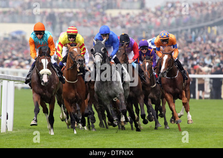 Ascot, Regno Unito, cavalli e fantini durante una gara di galoppo Foto Stock