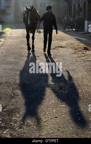 Chantilly, Francia, donna conduce il suo cavallo Foto Stock