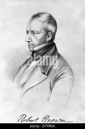 Robert Brown (1773-1858) Foto Stock