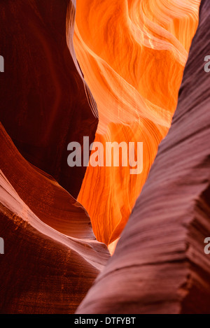 Abbassare Antelope Canyon, vicino a pagina, Arizona, Stati Uniti d'America Foto Stock