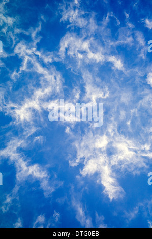 Wispy nuvole bianche contro un cielo blu cobalto Foto Stock