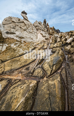 Drammatica roccia lavica formazione denominato Dragon's denti in Maui. Foto Stock