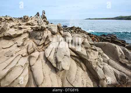 Drammatica roccia lavica formazione denominato Dragon's denti in Maui. Foto Stock