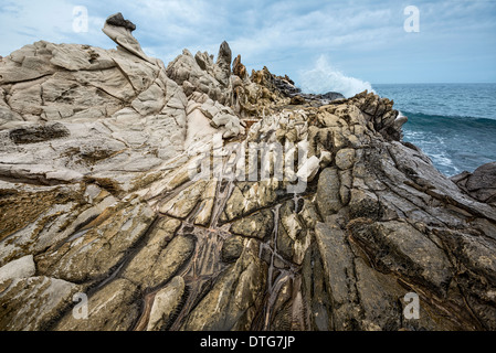 Drammatica roccia lavica formazione denominato Dragon's denti in Maui. Foto Stock