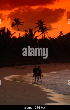 Giovane camminando sulla spiaggia al tramonto a Long Bay, Tortola, Isole Vergini Britanniche. Foto Stock