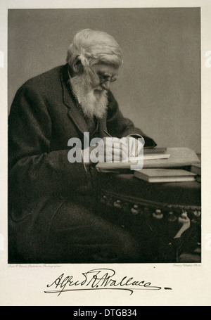 Alfred Russel Wallace (1823-1913) Foto Stock