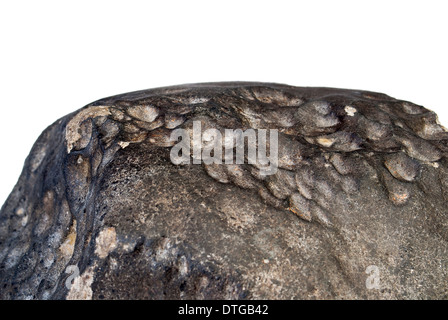 Wold Cottage meteorite (dettaglio) Foto Stock