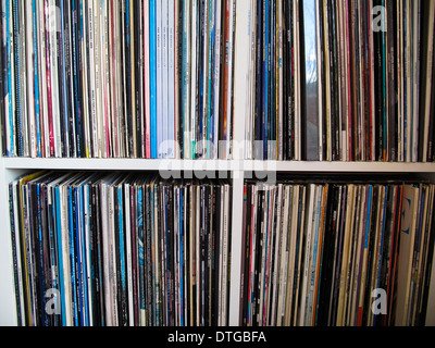 LP VINYL record di raccolta sui ripiani Foto Stock
