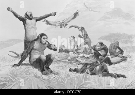 Homo habilis in azione Foto Stock