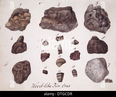 La piastra 1 da campioni di minerali britannica? Vol. 1 da P. Rashleigh (1797) Foto Stock