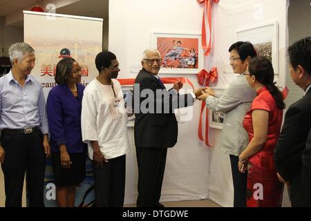 Porto di Spagna, Trinidad e Tobago. 17 feb 2014. La mostra di 'bello Cina' si apre nel porto di Spagna, Trinidad e Tobago, Feb, 17, 2014. Il ministero della Cultura della Repubblica popolare cinese e di Confucio Institute of Trinidad e Tobago lunedì ha aperto la mostra fotografica di 'bello Cina", che mira a introdurre gli sviluppi in Cina negli ultimi anni e nel rafforzare le relazioni tra i due paesi. © Gao Xing/Xinhua/Alamy Live News Foto Stock