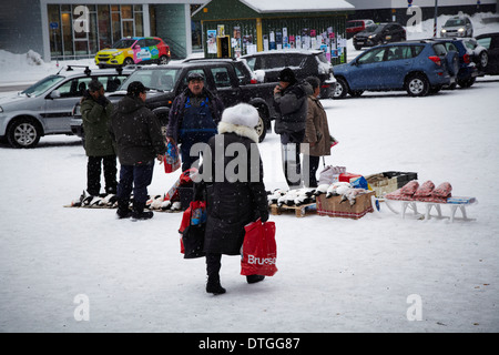 Un mercato per i pinguini in Nuuk. La Groenlandia Foto Stock