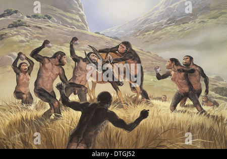 Homo habilis in azione Foto Stock