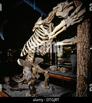 Megatherium, massa gigante bradipo Foto Stock