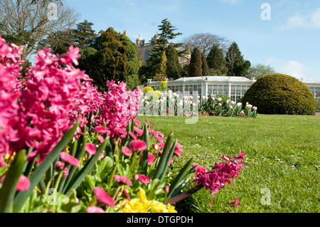 La Camellia House e giardini a Wollaton Hall e il Deer Park, Nottingham England Regno Unito Foto Stock