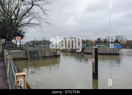 Sollevate i livelli di acqua durante le inondazioni lungo il fiume Tamigi, East Molesey Surrey, Inghilterra, nel febbraio 2014. Foto Stock