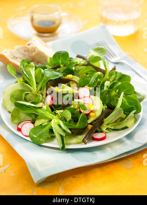 Lattuga mais,perizoma mare,l'avocado,ravanello e insalata di cetrioli Foto Stock