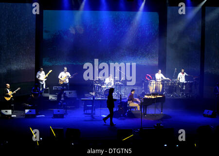 Tehran, Iran. 17 feb 2014. Musicisti iraniani eseguire ad un concerto pop durante la XXIX Fadjr Festival Internazionale della Musica di Tehran, Iran, Feb 17, 2014. Credito: Ahmad Halabisaz/Xinhua/Alamy Live News Foto Stock