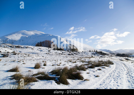 Il Corbett Ben Gulabin da ovest, vicino a Glenshee Scozia. Foto Stock