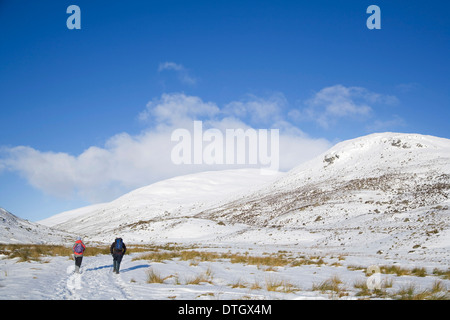 Due escursionisti in Glen Lochsie sulla strada per salire la Munro Glas Tulaichean. Foto Stock