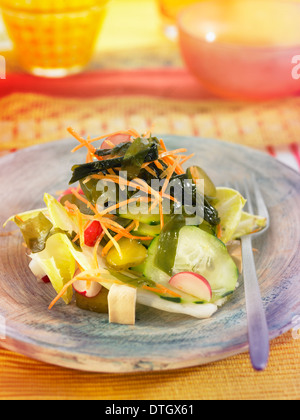 Alghe Wakame ,il tofu,le cicorie di Bruxelles,Carota,ravanello e insalata di cetrioli Foto Stock
