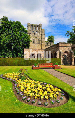 Le rovine di Kelso Abbey, del XII secolo, a Kelso, Scottish Borders, Scotland, Regno Unito Foto Stock