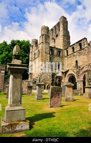 Le rovine di Kelso Abbey, del XII secolo, a Kelso, Scottish Borders, Scotland, Regno Unito Foto Stock