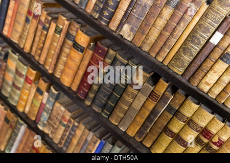 I libri sugli scaffali Foto Stock